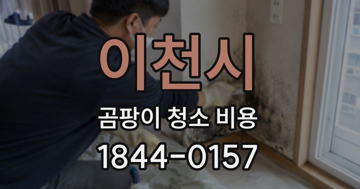 이천시 곰팡이 청소 비용