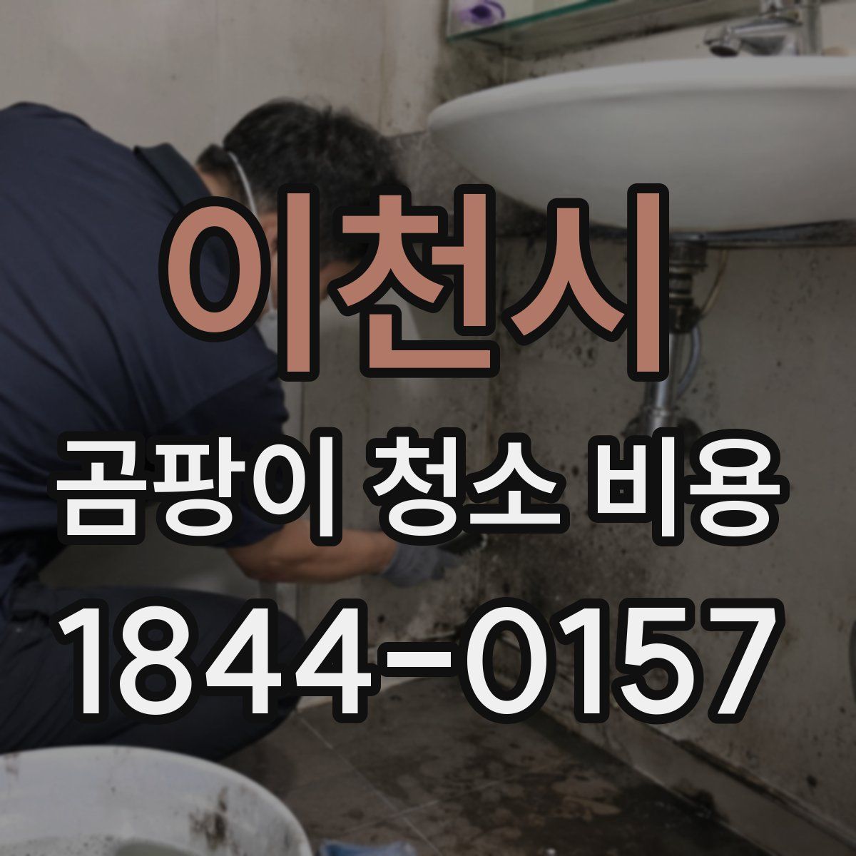 이천시 곰팡이 청소 비용