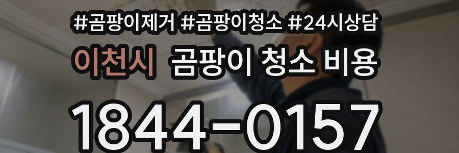 이천시 곰팡이 청소 비용