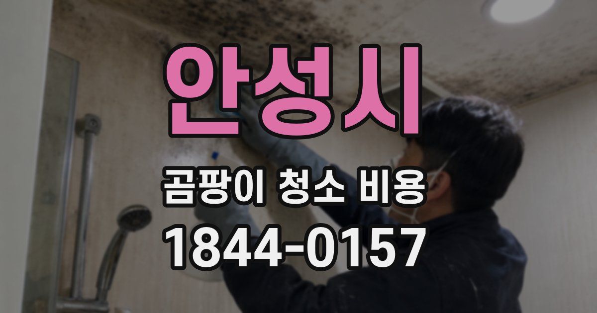 안성시 곰팡이 청소 비용