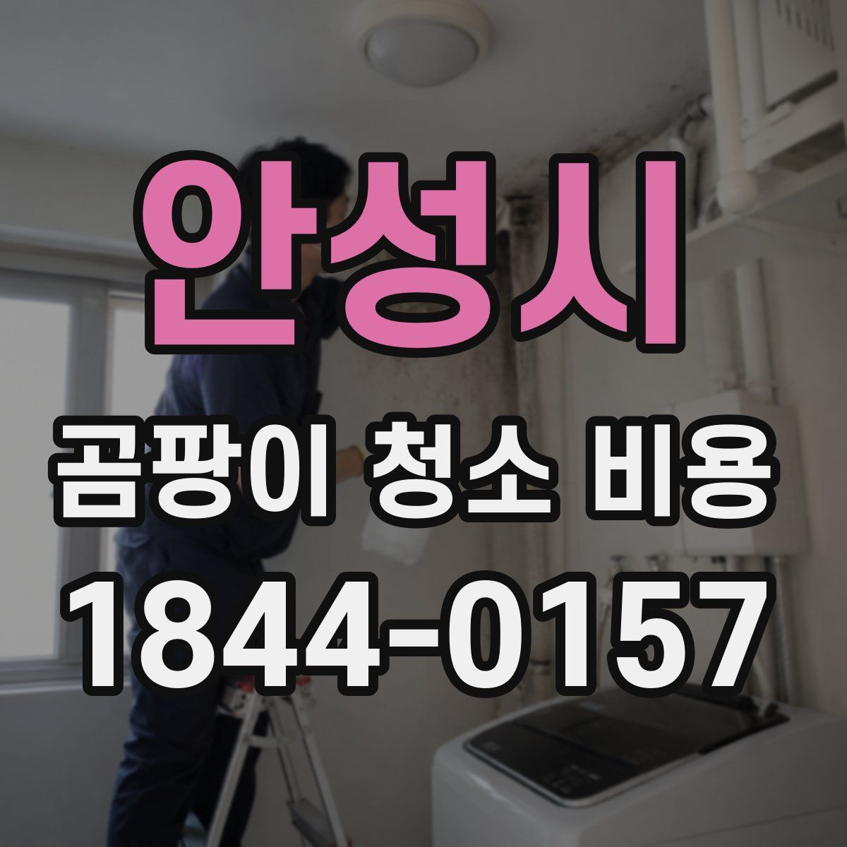 안성시 곰팡이 청소 비용