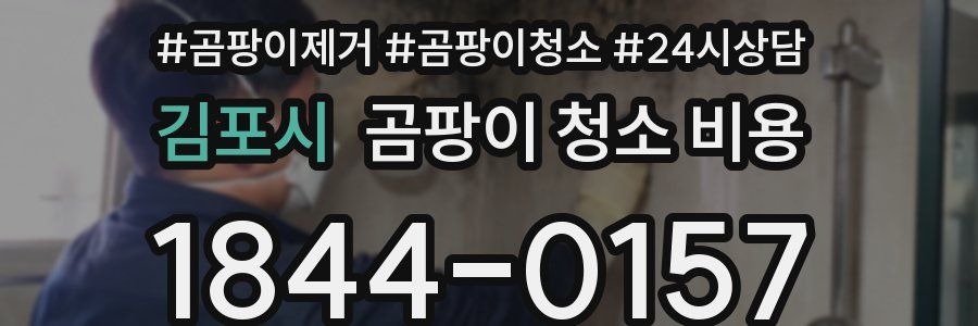 김포시 곰팡이 청소 비용