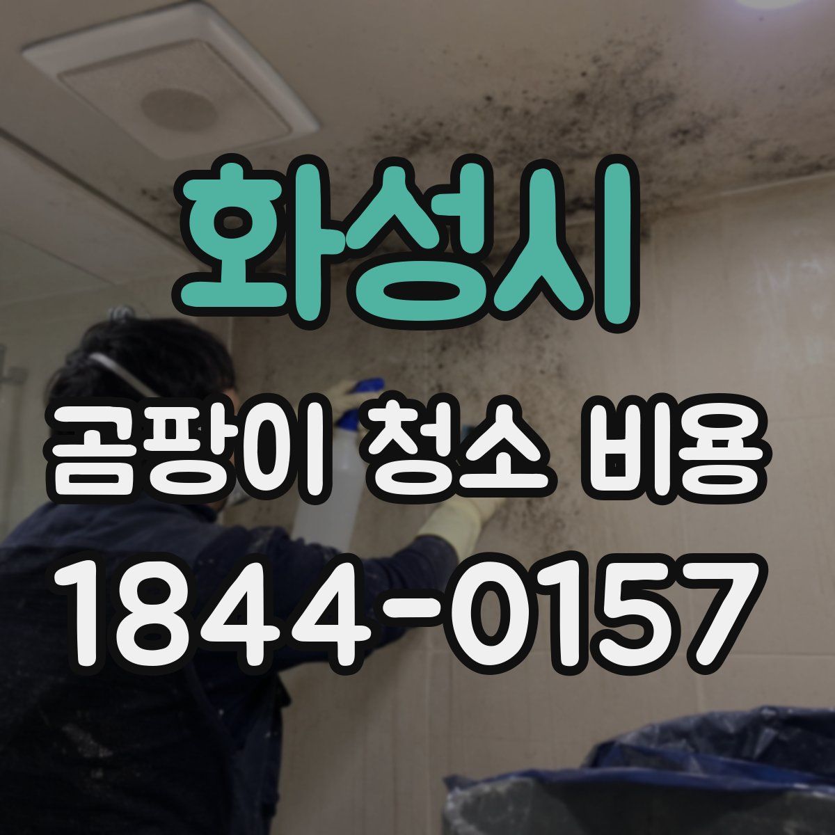 화성시 곰팡이 청소 비용