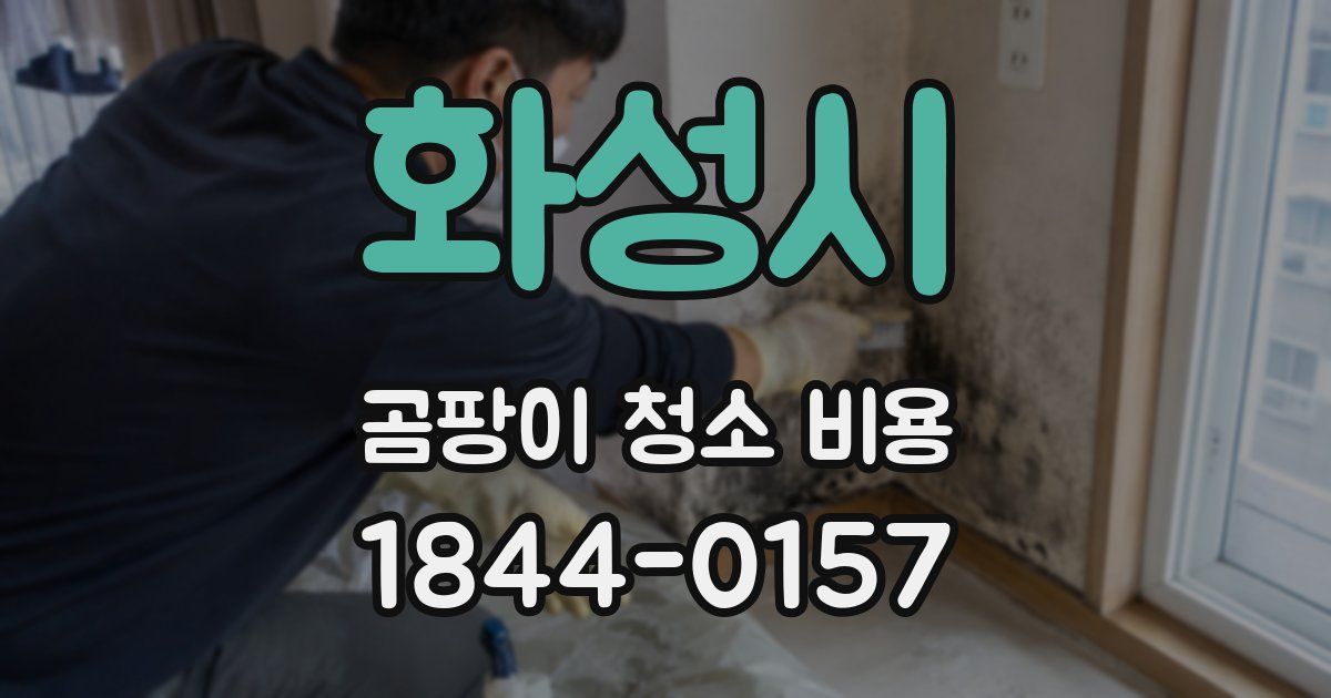 화성시 곰팡이 청소 비용