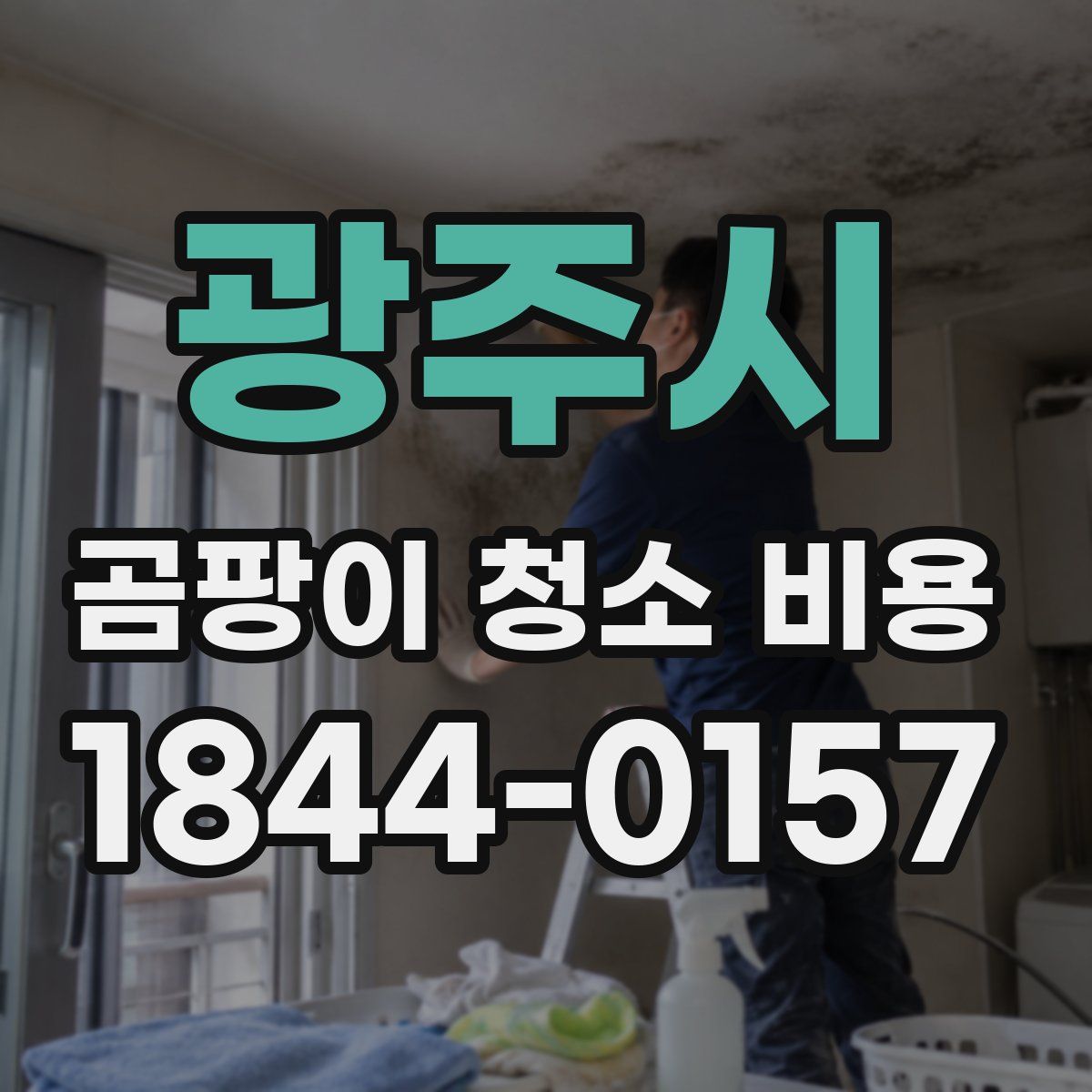 광주시 곰팡이 청소 비용