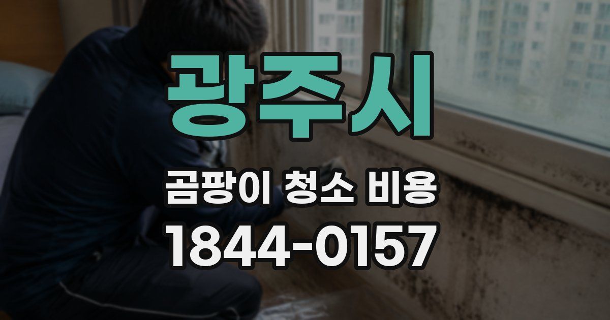 광주시 곰팡이 청소 비용