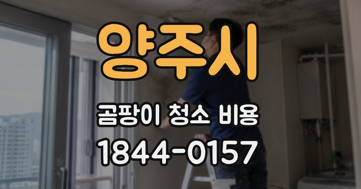 양주시 곰팡이 청소 비용