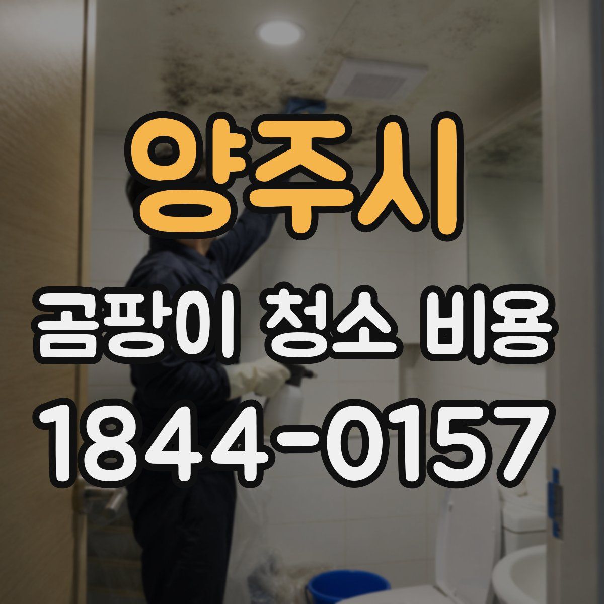 양주시 곰팡이 청소 비용