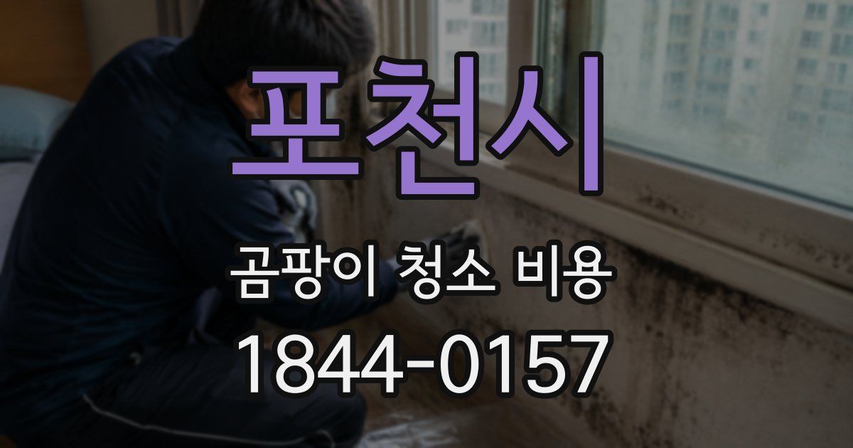 포천시 곰팡이 청소 비용