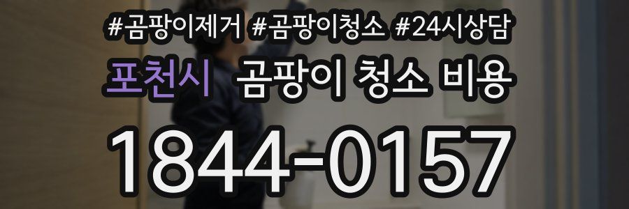 포천시 곰팡이 청소 비용