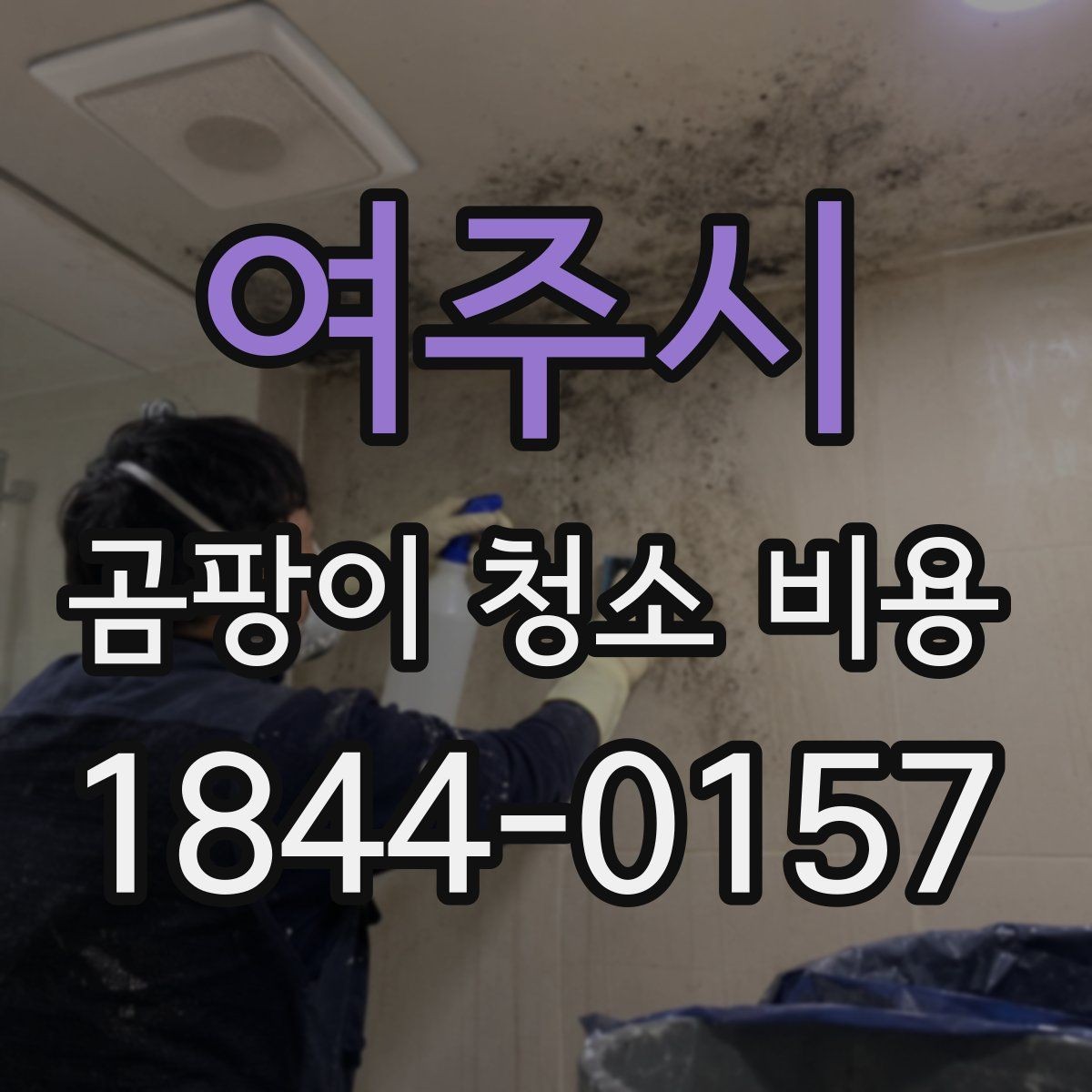 여주시 곰팡이 청소 비용 벽지 얼룩과 냄새가 함께 남을 때