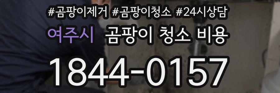 여주시 곰팡이 청소 비용