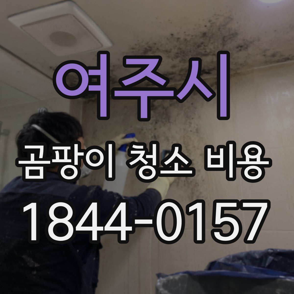여주시 곰팡이 청소 비용