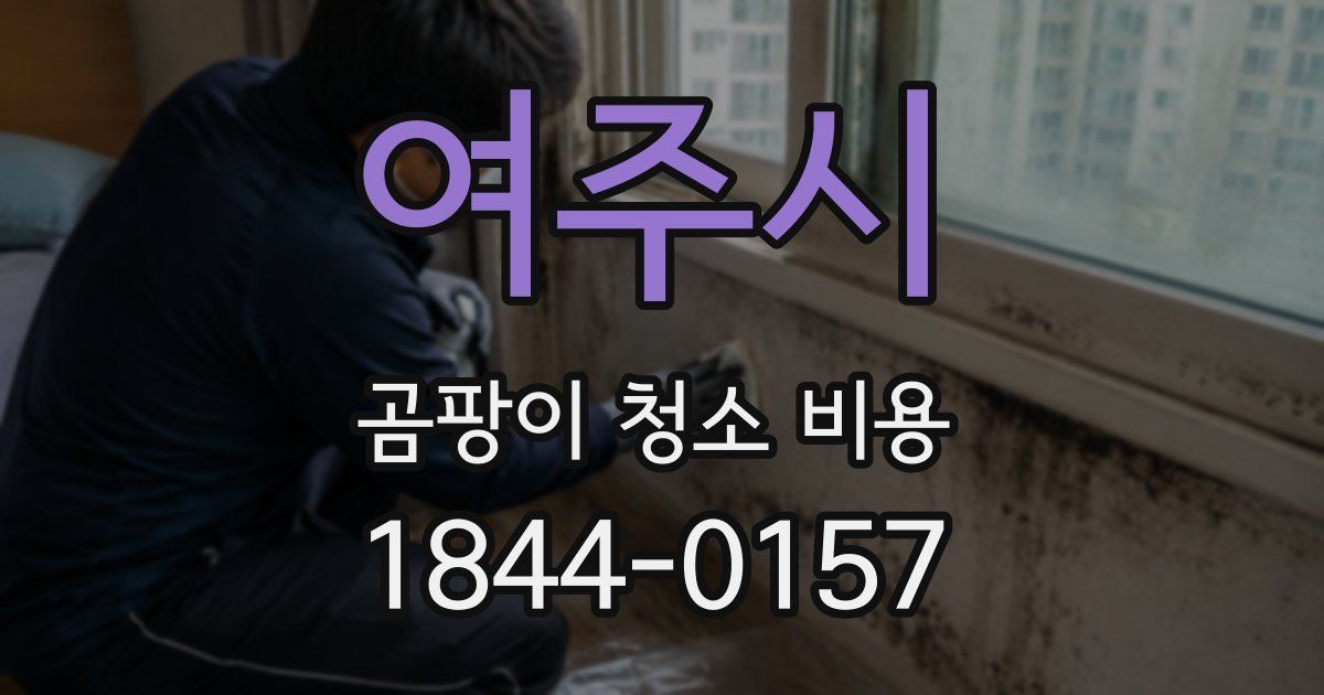 여주시 곰팡이 청소 비용