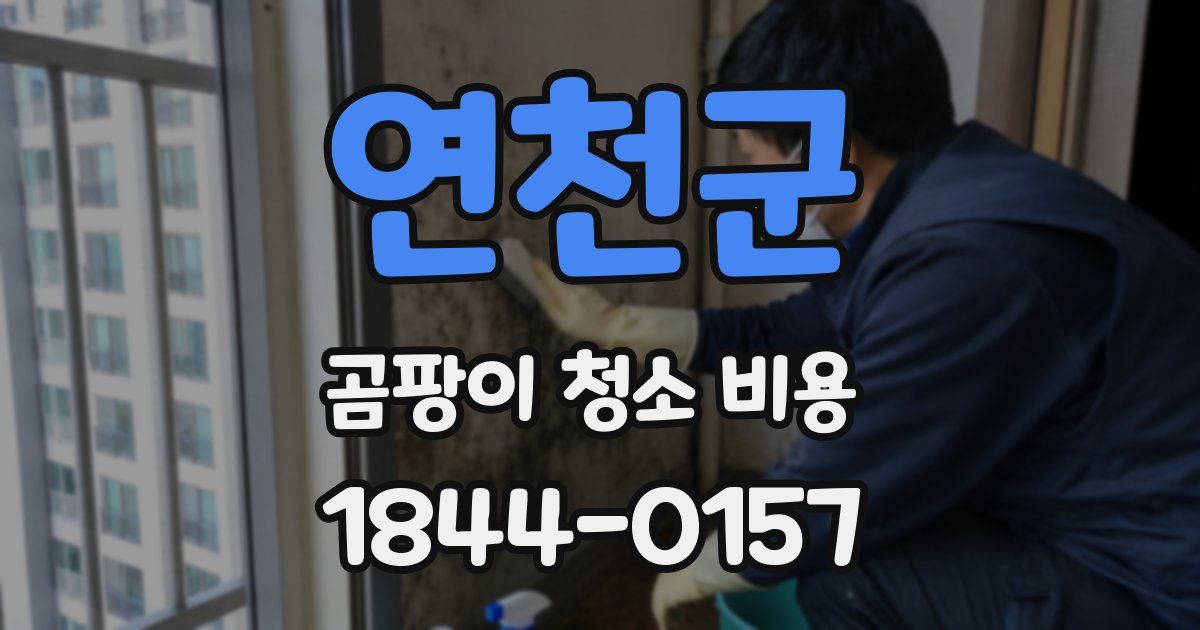 연천군 곰팡이 청소 비용