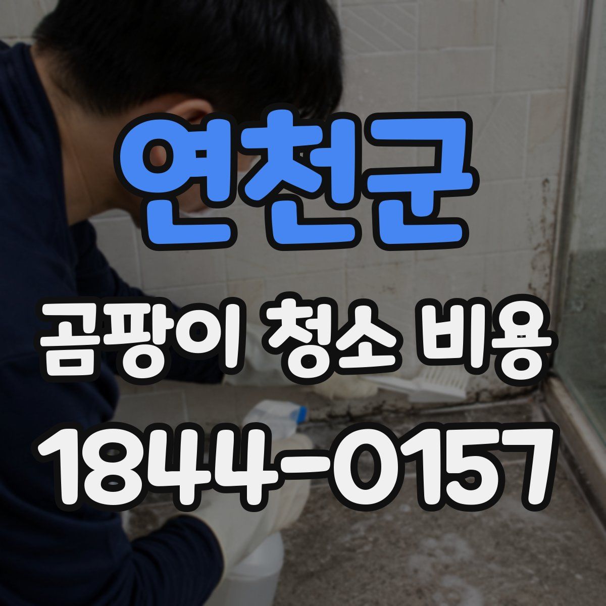 연천군 곰팡이 청소 비용