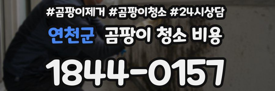 연천군 곰팡이 청소 비용