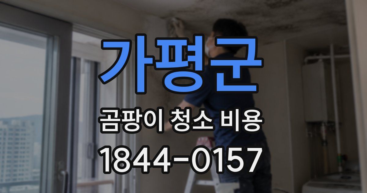 가평군 곰팡이 청소 비용
