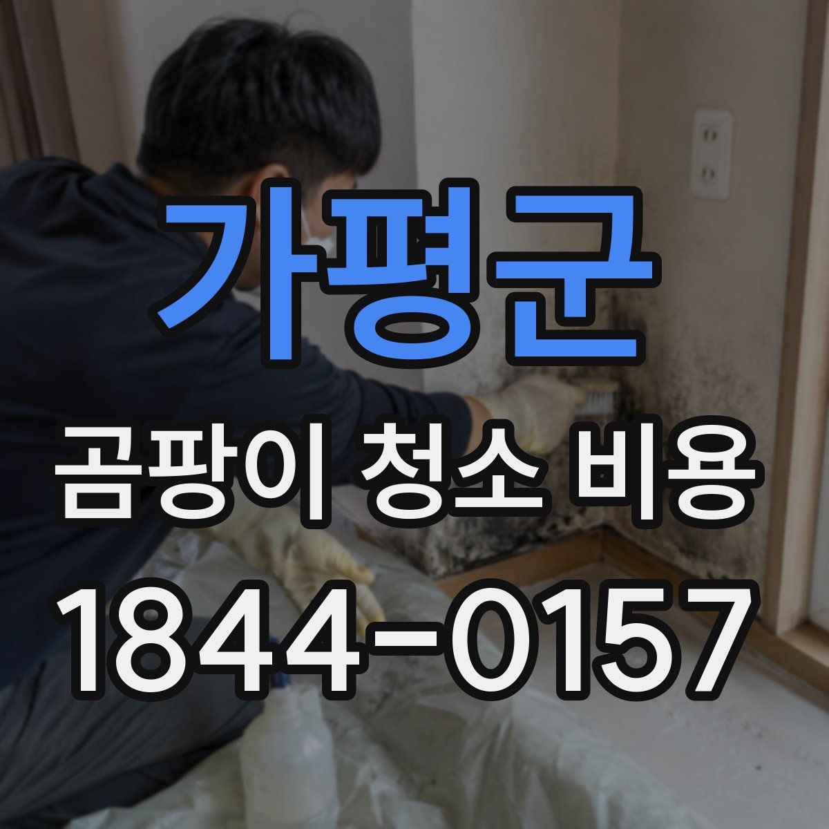가평군 곰팡이 청소 비용