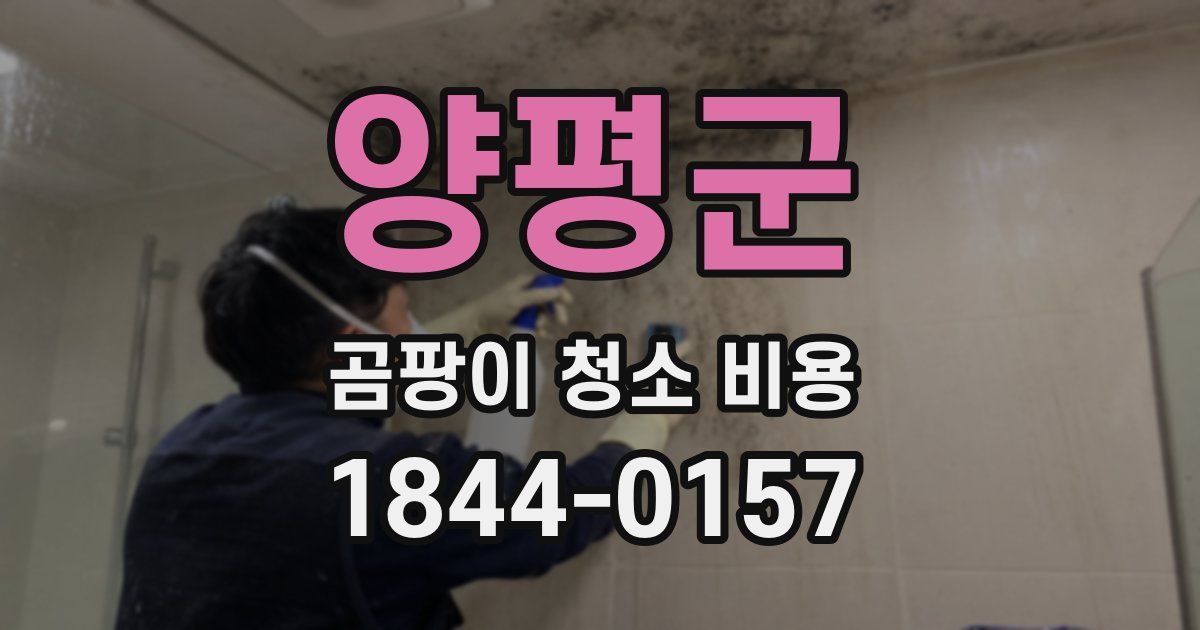 양평군 곰팡이 청소 비용