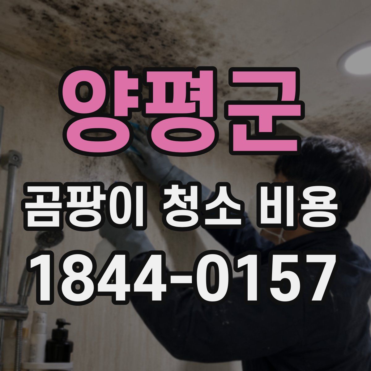 양평군 곰팡이 청소 비용