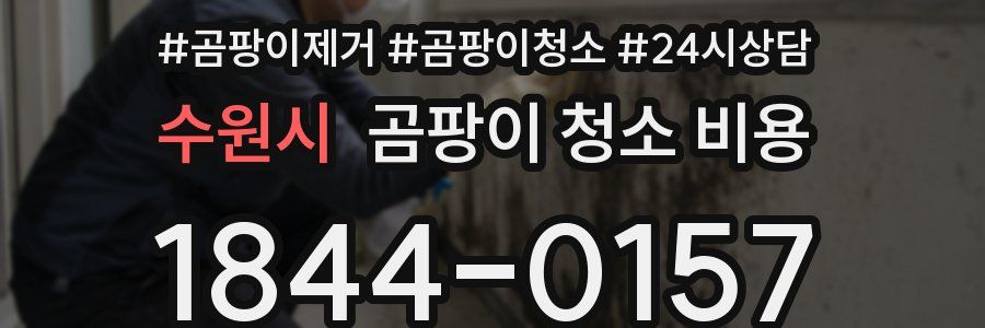 수원시 곰팡이 청소 비용