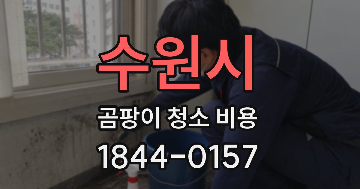 수원시 곰팡이 청소 비용