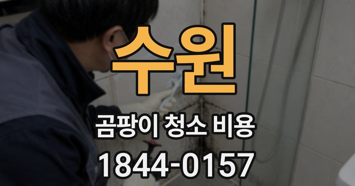 수원 곰팡이 청소 비용