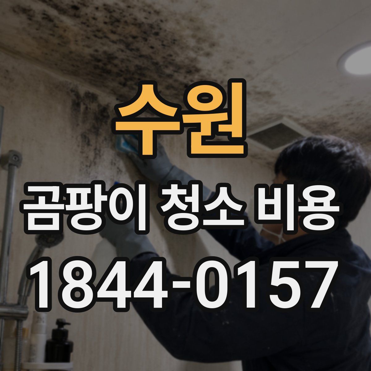 수원 곰팡이 청소 비용