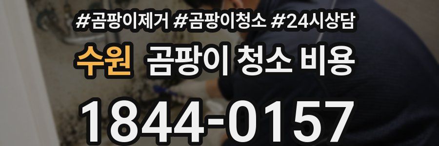 수원 곰팡이 청소 비용