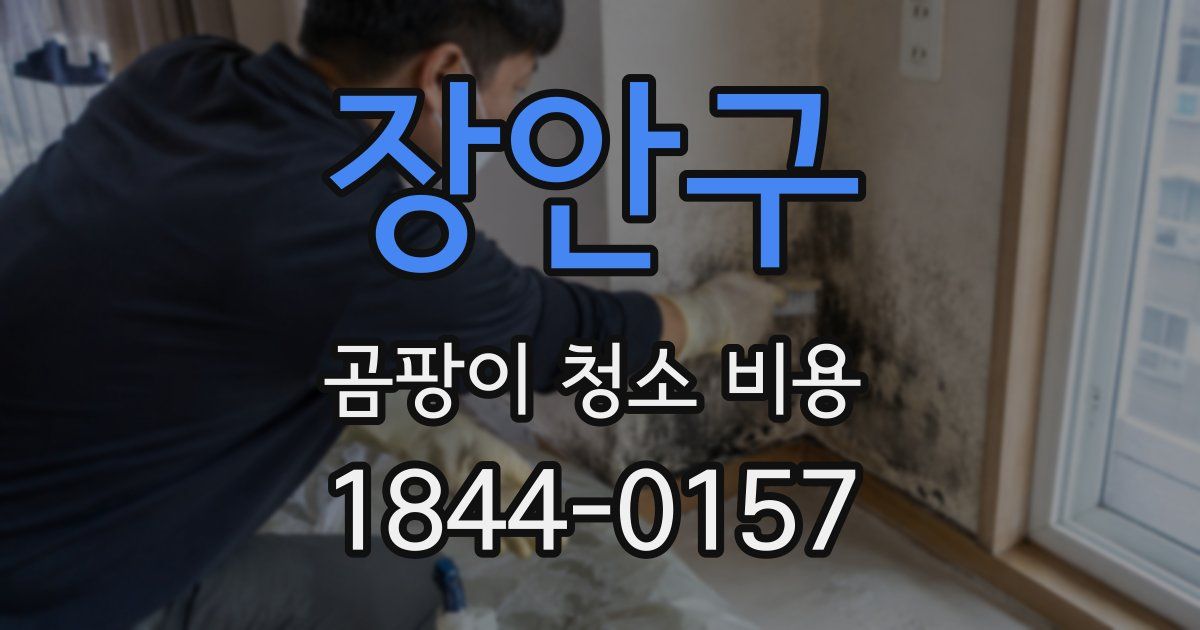 장안구 곰팡이 청소 비용