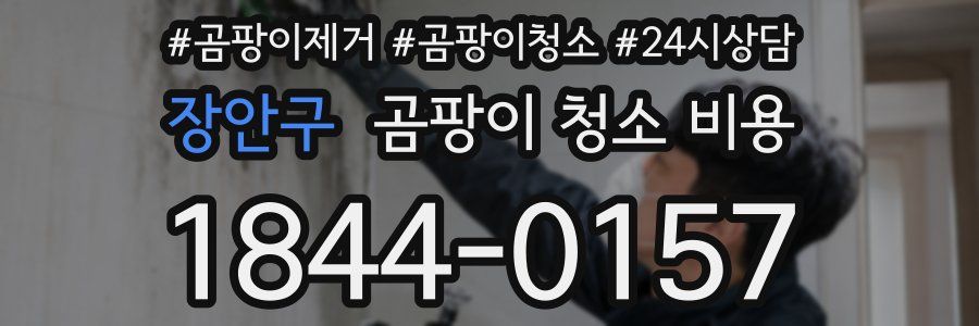 장안구 곰팡이 청소 비용