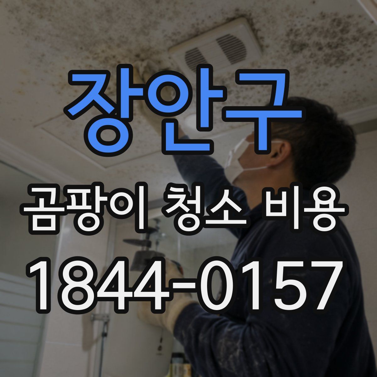 장안구 곰팡이 청소 비용