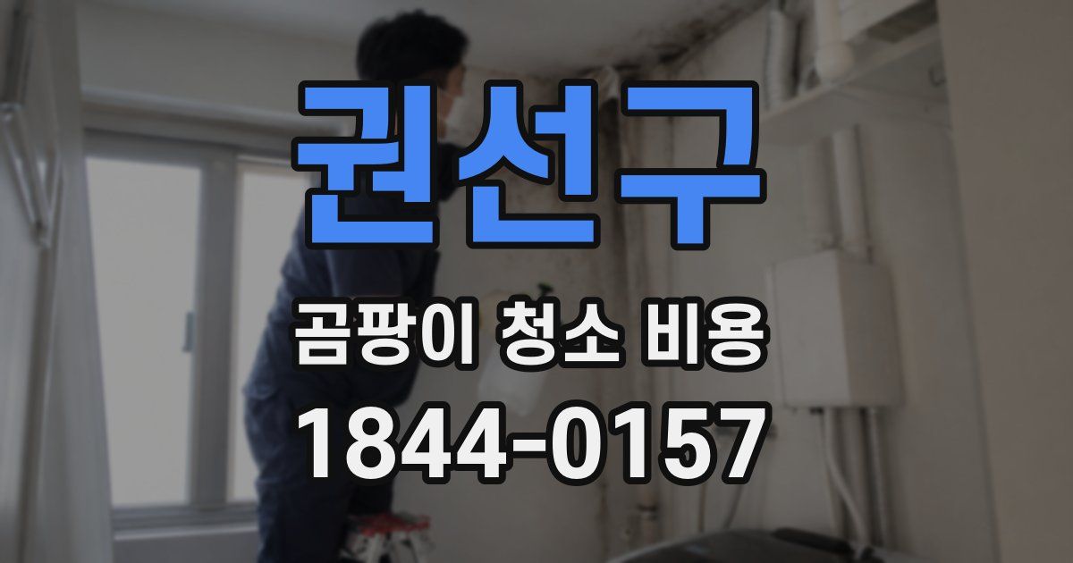 권선구 곰팡이 청소 비용