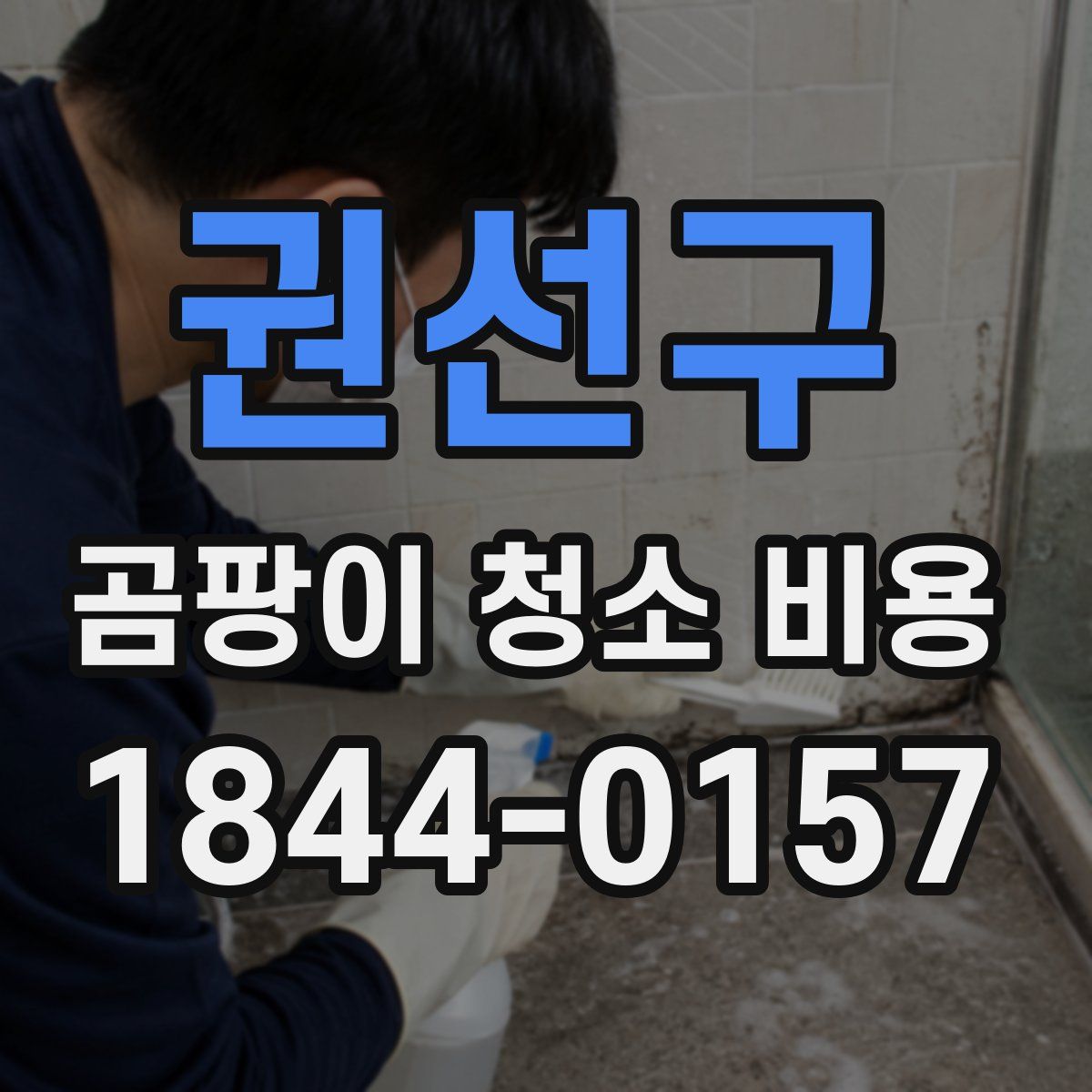 권선구 곰팡이 청소 비용