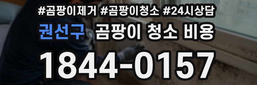 권선구 곰팡이 청소 비용