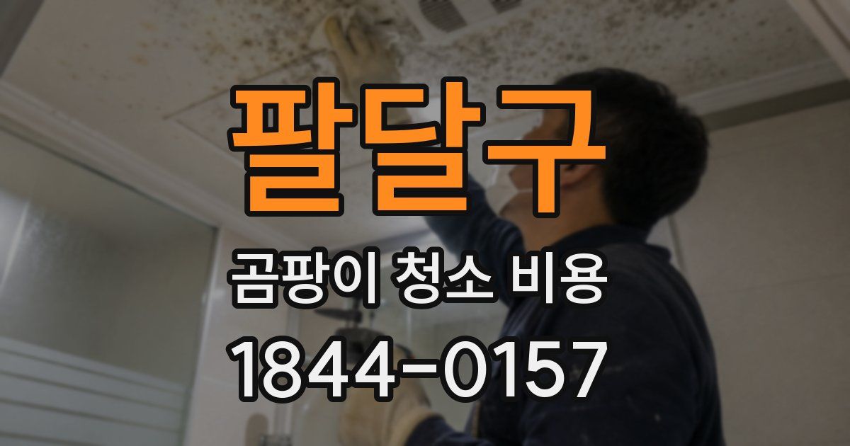 팔달구 곰팡이 청소 비용