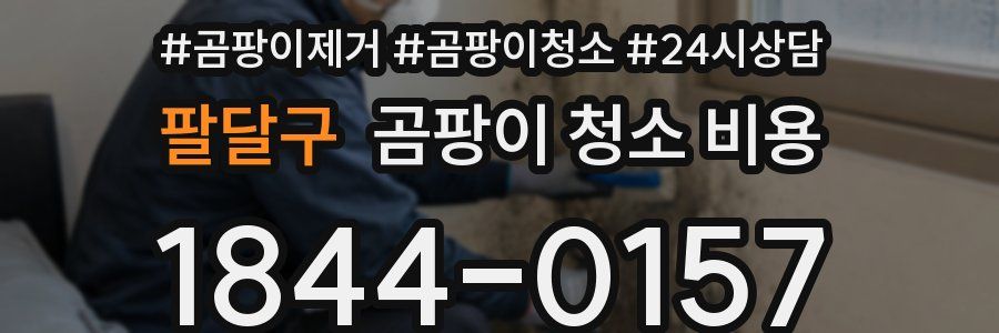 팔달구 곰팡이 청소 비용