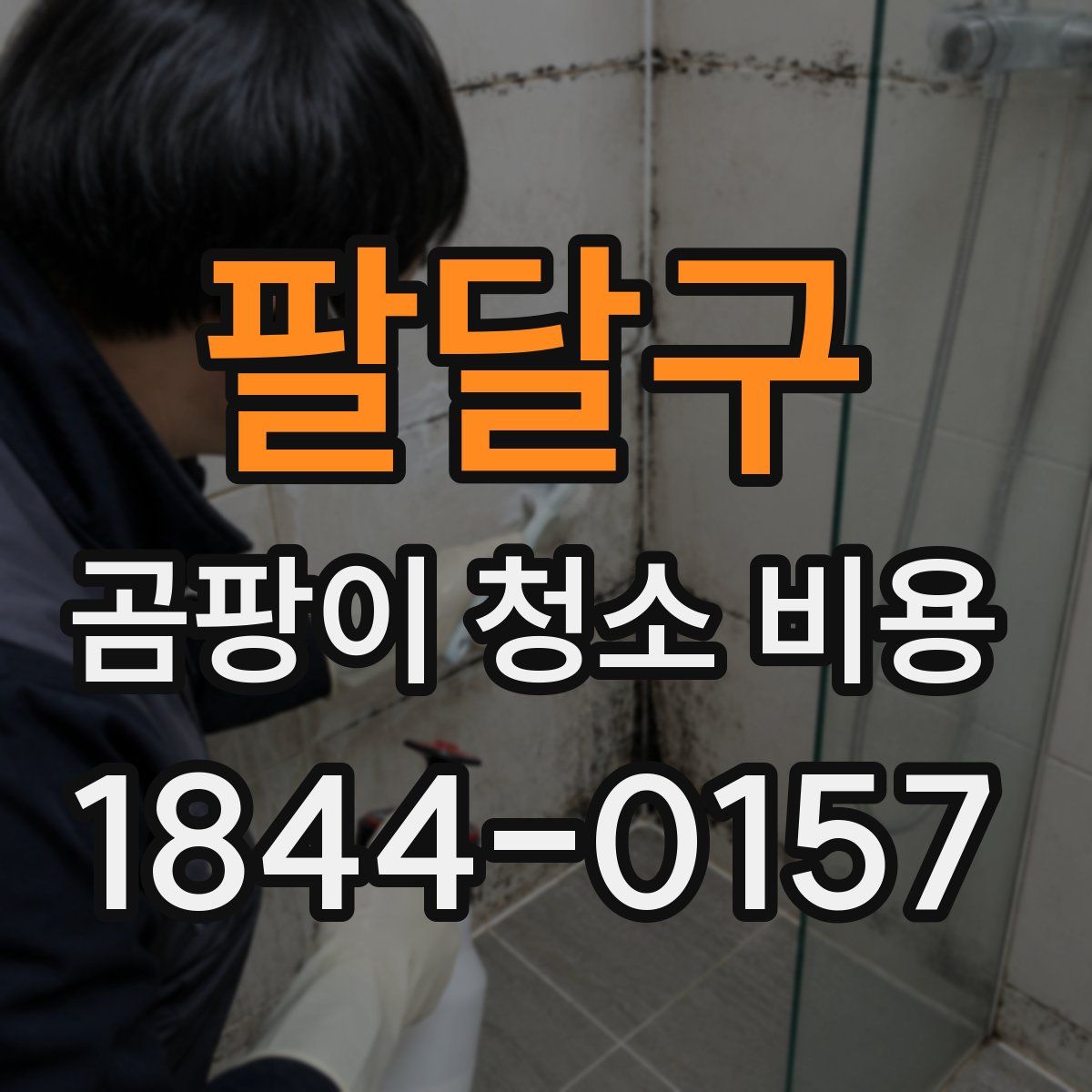 팔달구 곰팡이 청소 비용