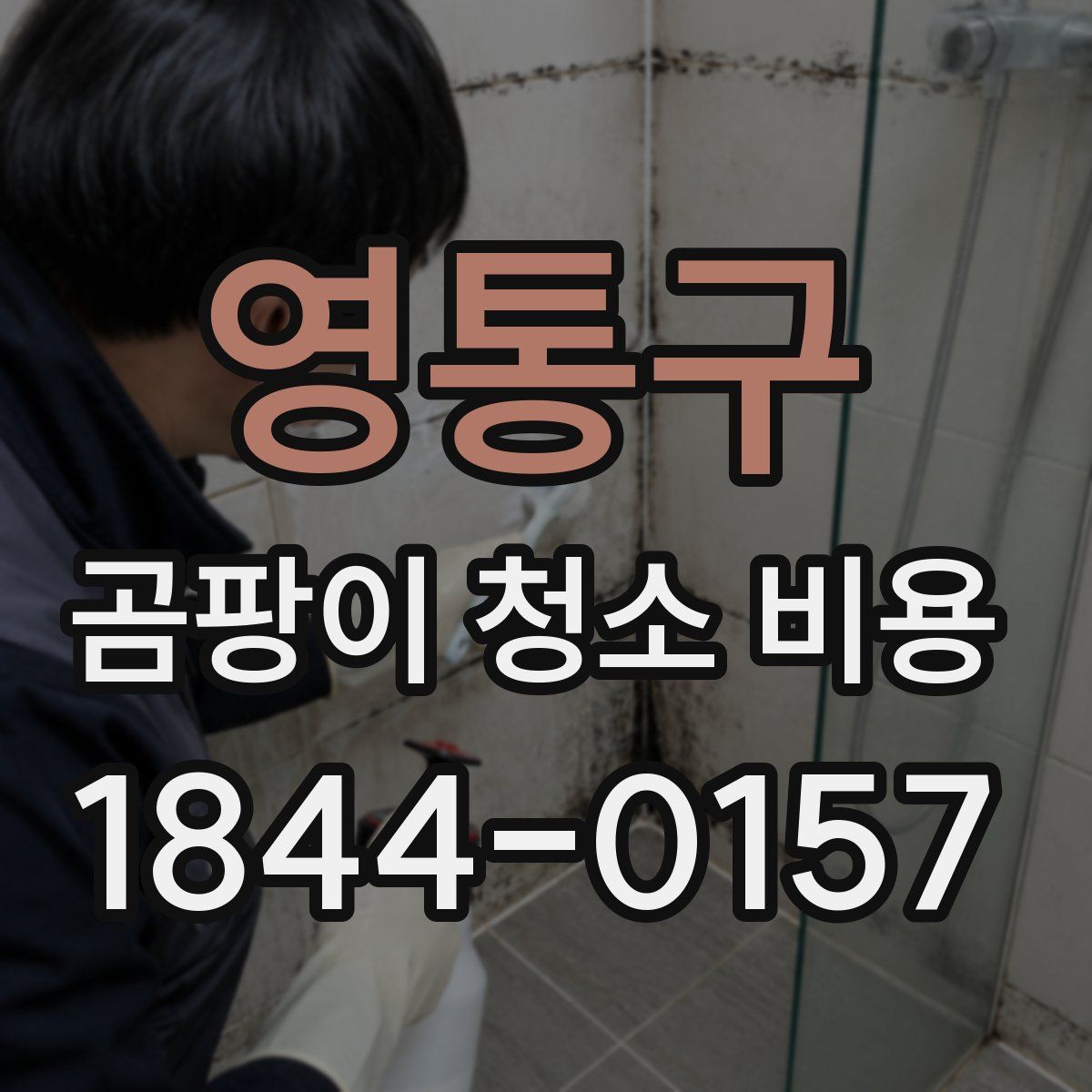 영통구 곰팡이 청소 비용