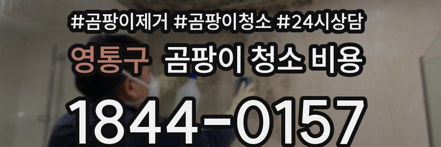 영통구 곰팡이 청소 비용