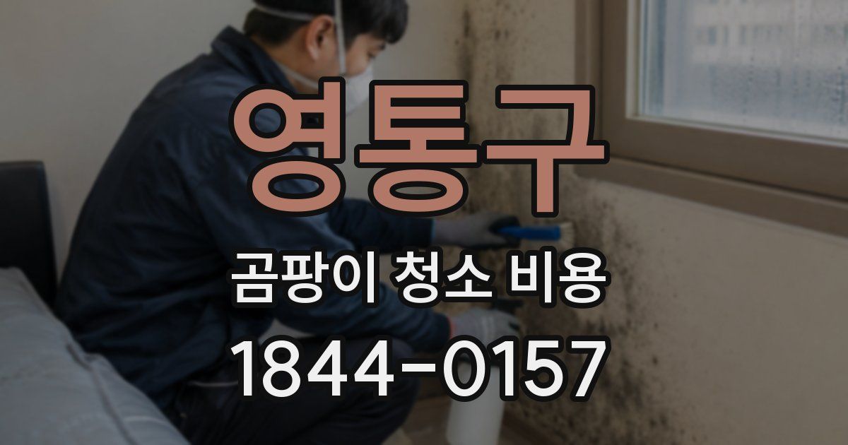 영통구 곰팡이 청소 비용