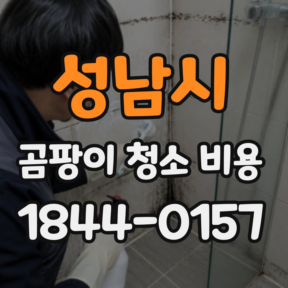 성남시 곰팡이 청소 비용