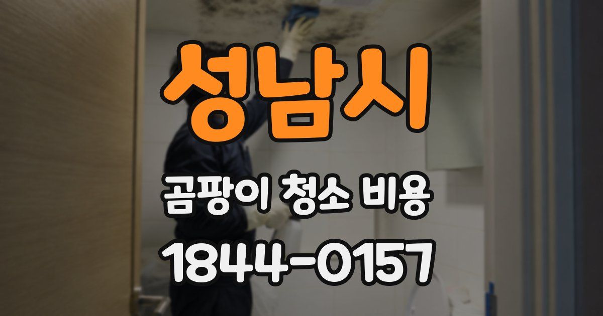 성남시 곰팡이 청소 비용