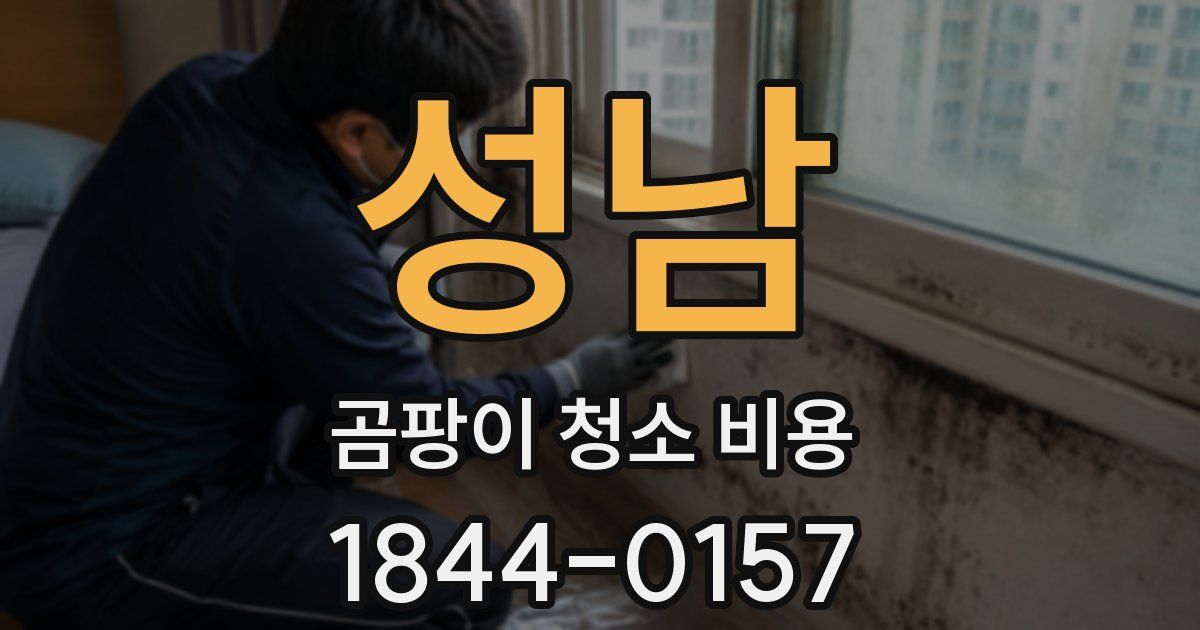 성남 곰팡이 청소 비용