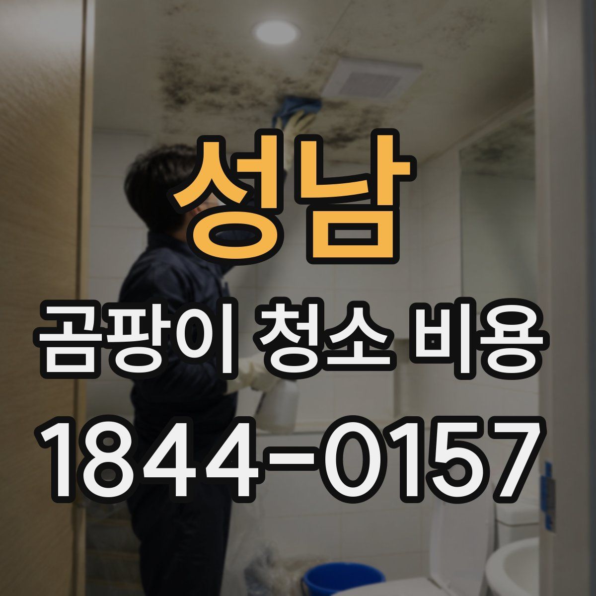 성남 곰팡이 청소 비용