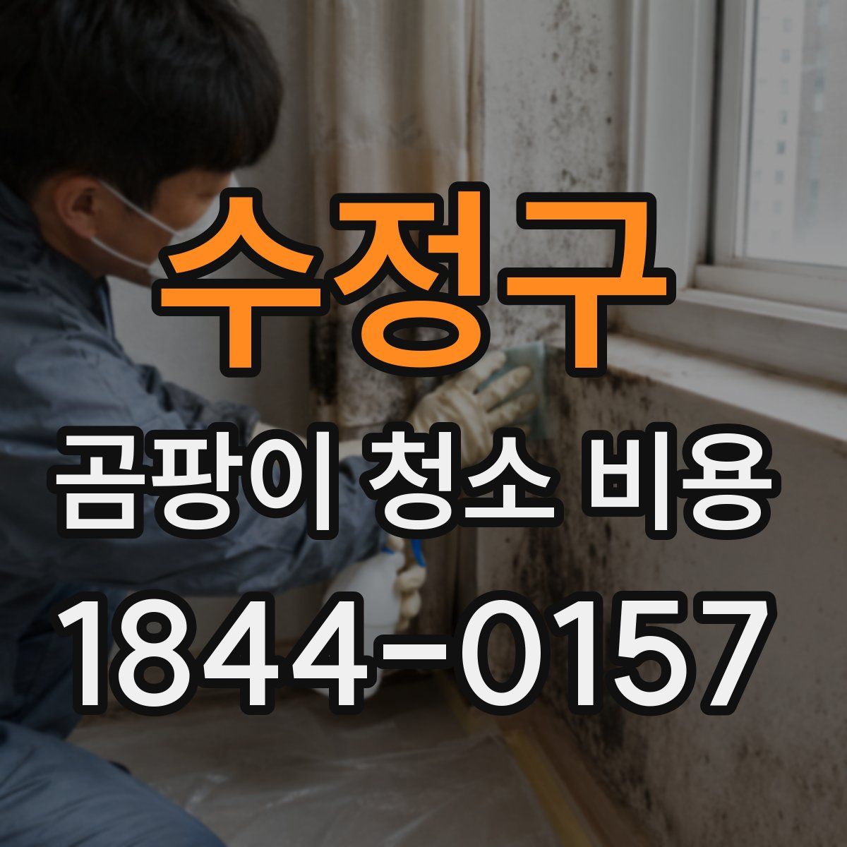 수정구 곰팡이 청소 비용