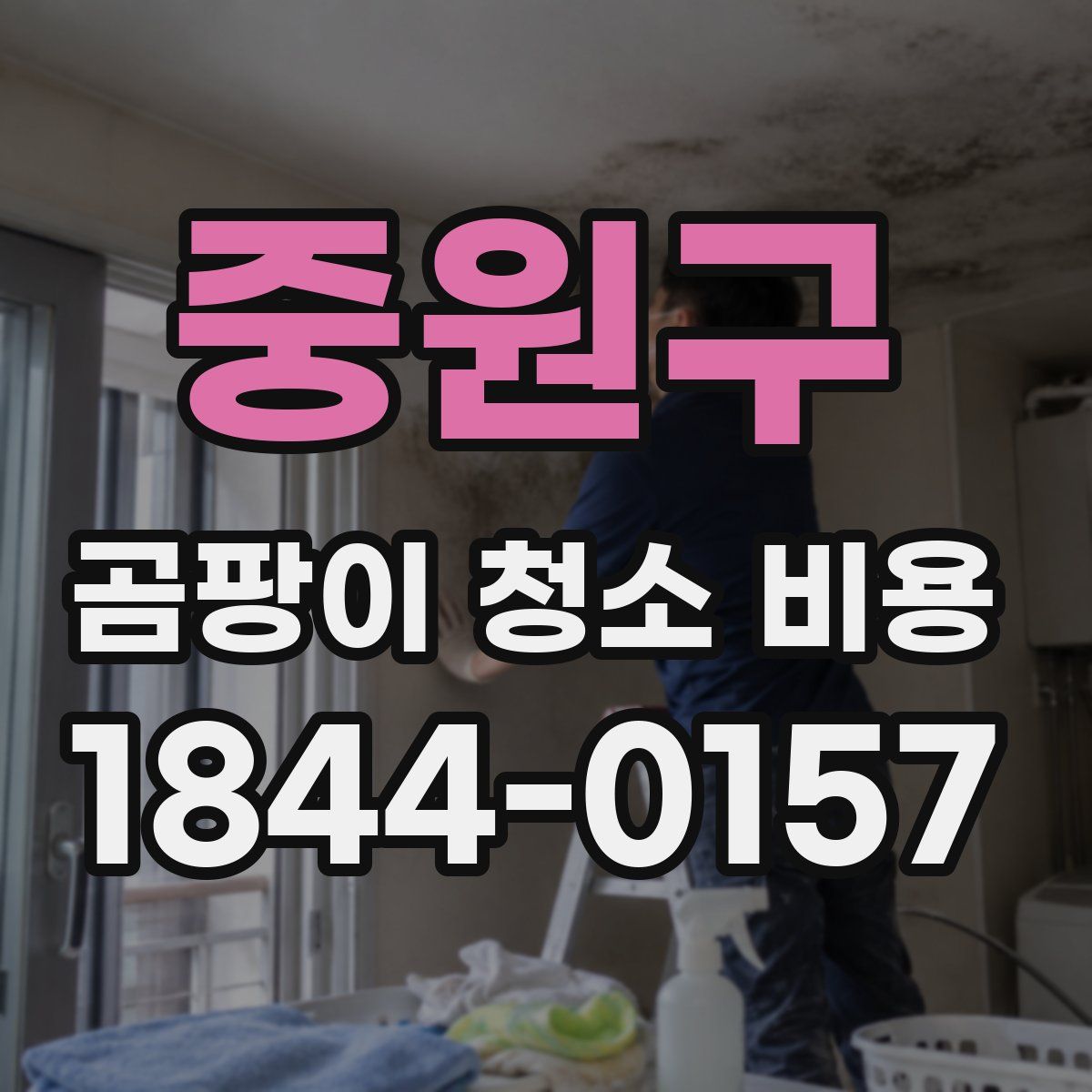 중원구 곰팡이 청소 비용