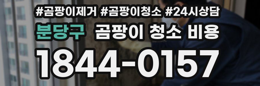 분당구 곰팡이 청소 비용