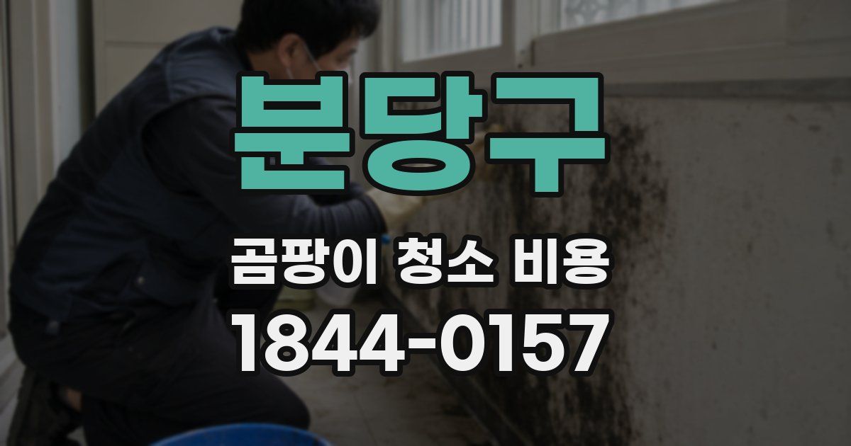 분당구 곰팡이 청소 비용